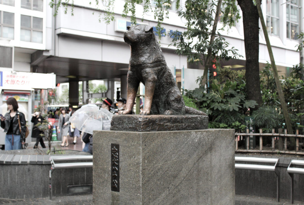 Hachikō Statue Tokyo