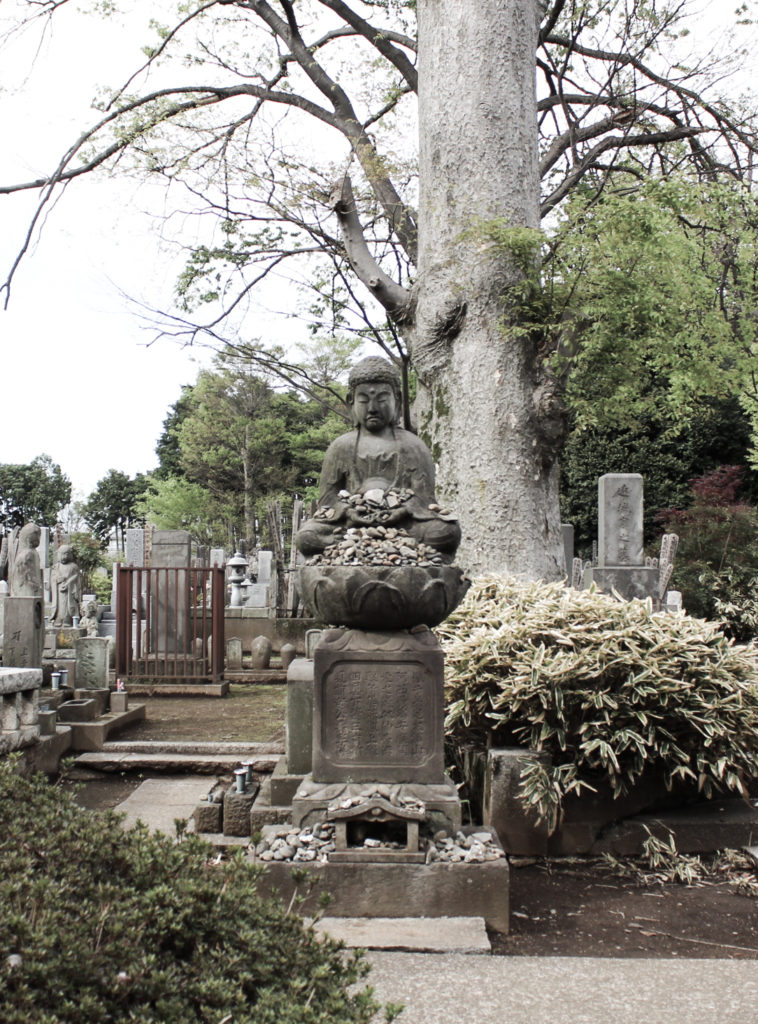 Gotokuji Temple Cat Temple